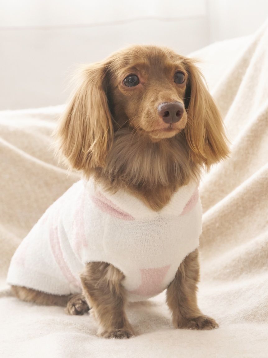  GELATO PIQUE CAT&DOG「【CAT&DOG】スムーズィーダックスサイズ２ボーダーフーディー」|その他|