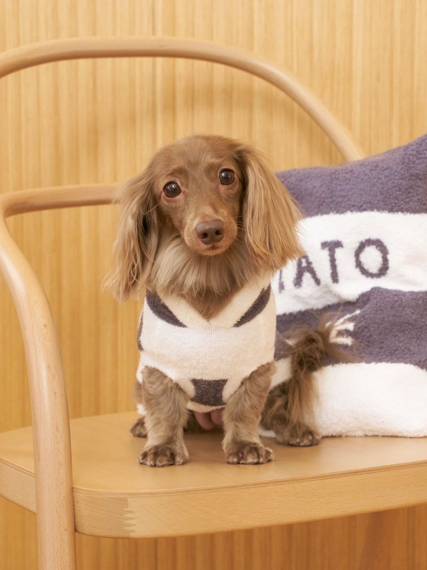  GELATO PIQUE CAT&DOG「【CAT&DOG】スムーズィーダックスサイズ２ボーダーフーディー」|その他|
