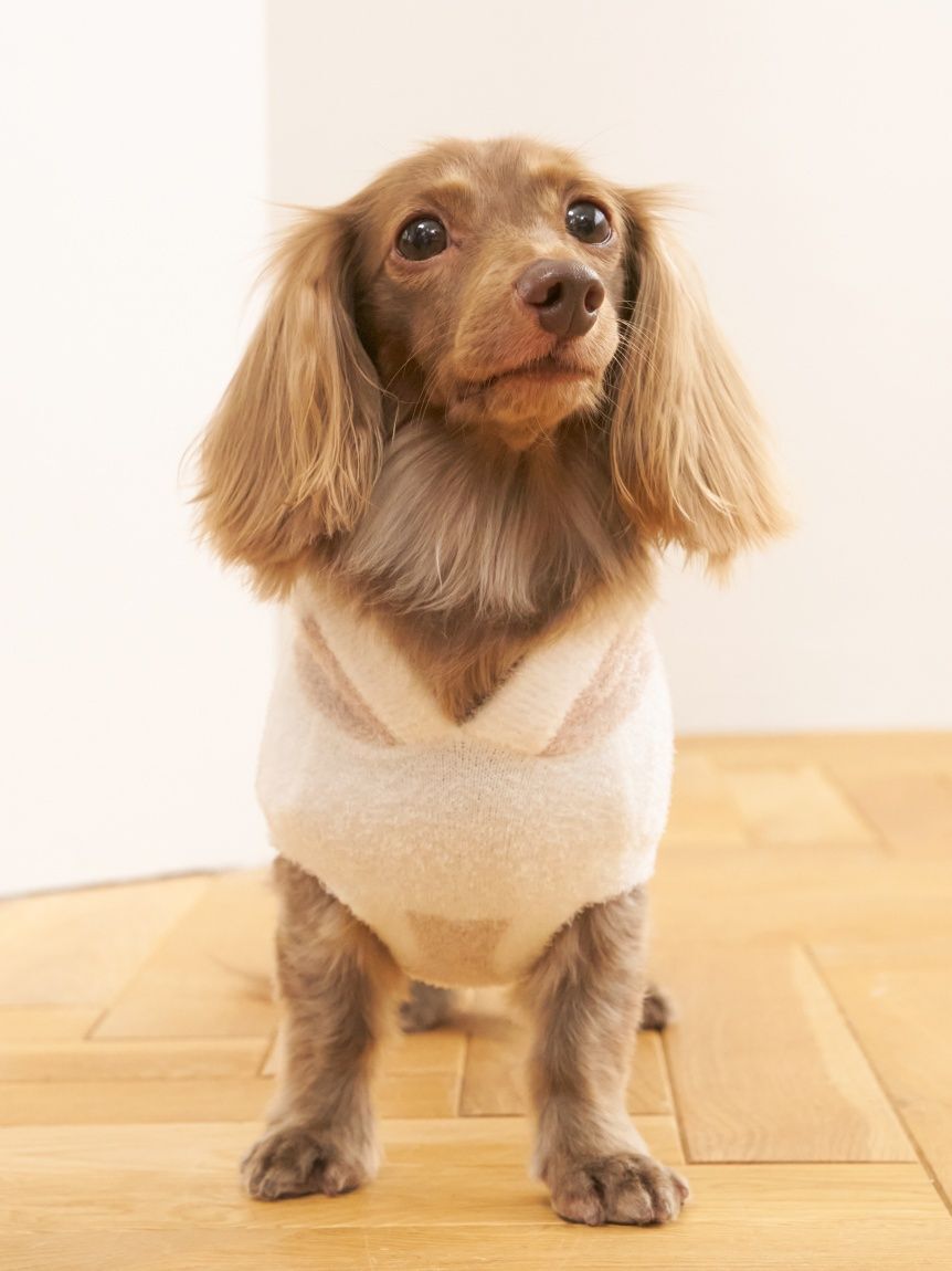  GELATO PIQUE CAT&DOG「【CAT&DOG】スムーズィーダックスサイズ２ボーダーフーディー」|その他|