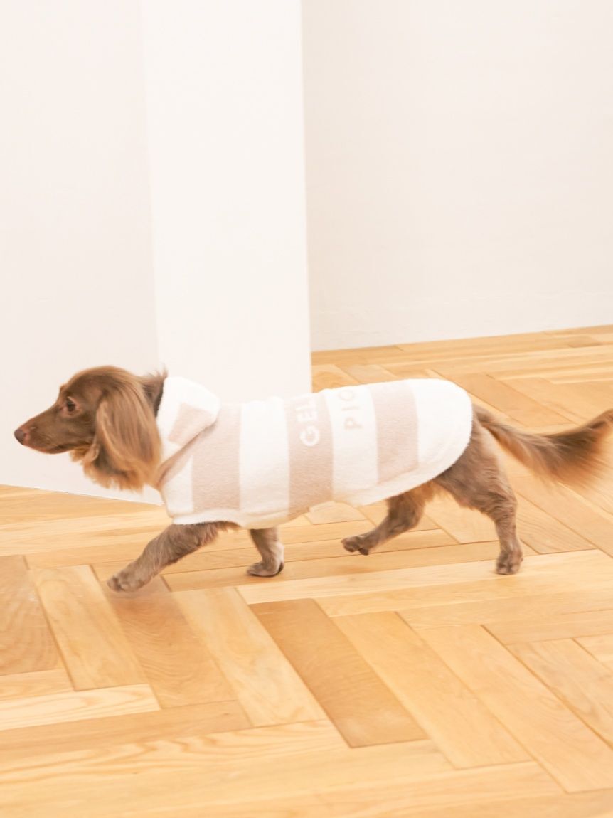  GELATO PIQUE CAT&DOG「【CAT&DOG】スムーズィーダックスサイズ２ボーダーフーディー」|その他|