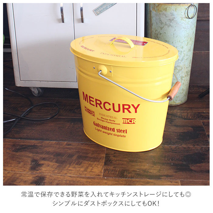 MERCURY「マーキュリー バケツ 通販 おしゃれ 蓋つき 蓋付き フタ付 ふた付き ブリキ ガーデニング」|その他|