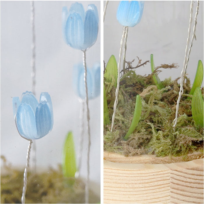 BACKYARD FAMILY「ガラスドーム フラワー 通販 チューリップ ガラスドームL LED ガラス ドーム お花 オブジェ」|その他|