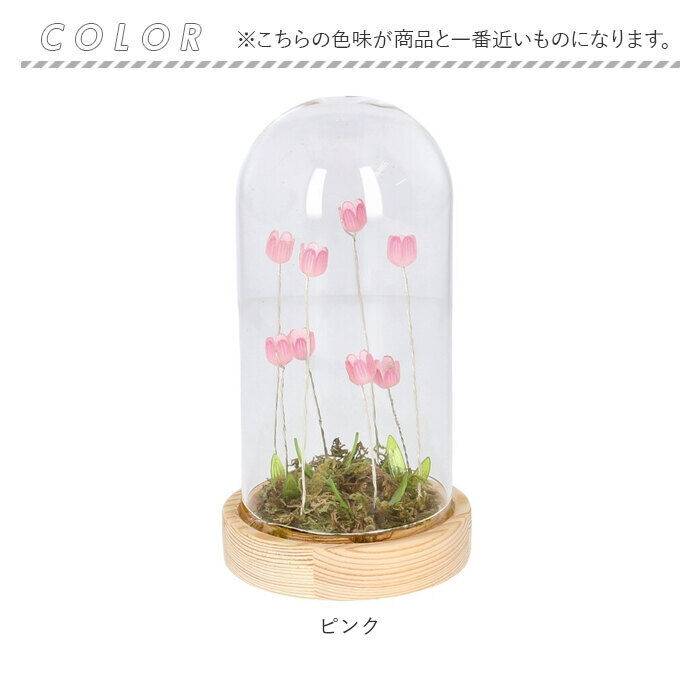 BACKYARD FAMILY「ガラスドーム フラワー 通販 チューリップ ガラスドームL LED ガラス ドーム お花 オブジェ」|その他|