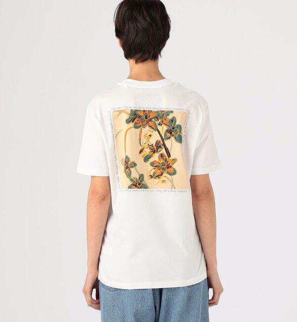 TOMORROWLAND BUYING WEAR「LISA KING コットン ショートスリーブプルオーバー」|Tシャツ・カットソー|