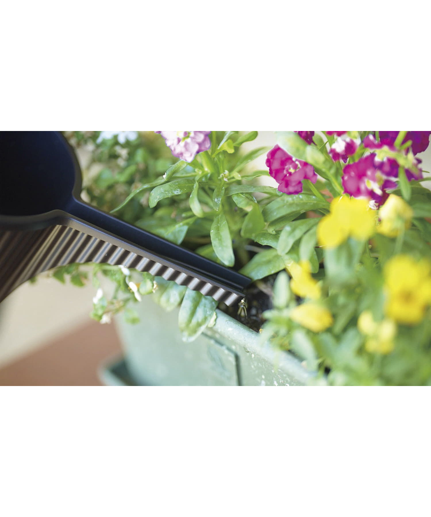 URBAN RESEARCH DOORS「Hachiman gardens　ガーデンビートル 1.5L」|フィギュア・ホビー|