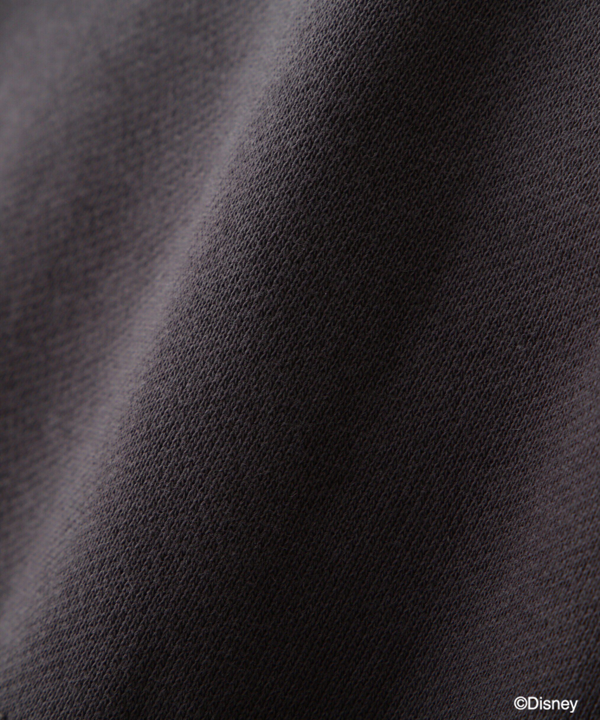  「〈ディズニーコレクション〉ハーフジップスウェット」|Tシャツ・カットソー|