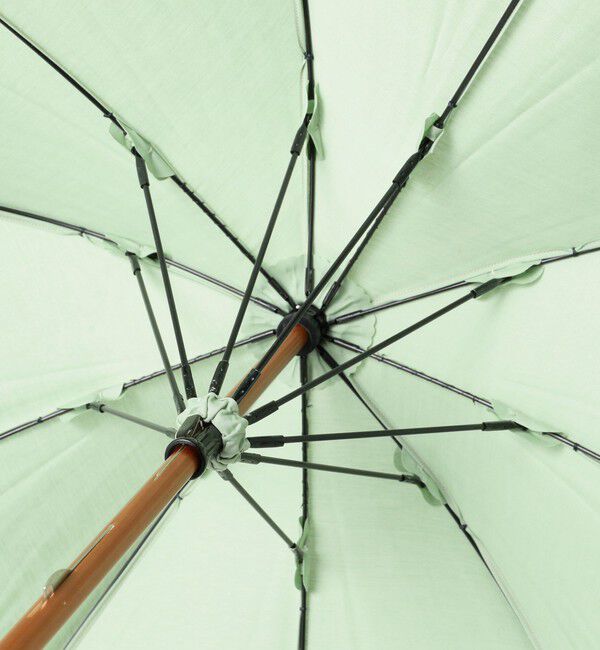 BEAMSBOY「Dicesare Designs / Kabocha傘」|傘|