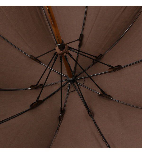 BEAMSBOY「Dicesare Designs / Kabocha傘」|傘|