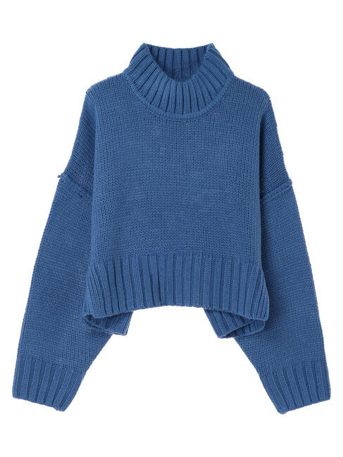 Green Parks「・SUGAR　SPOON　ハイネックショートニット」|ニット・セーター|