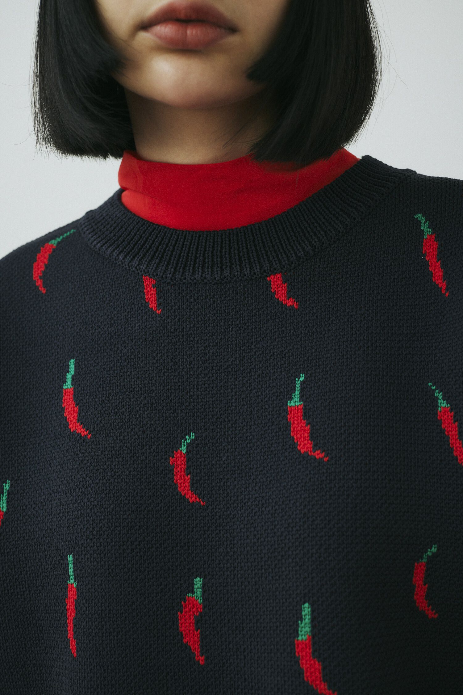 HeRIN.CYE「Chili pattern knit pullover」|ニット・セーター|