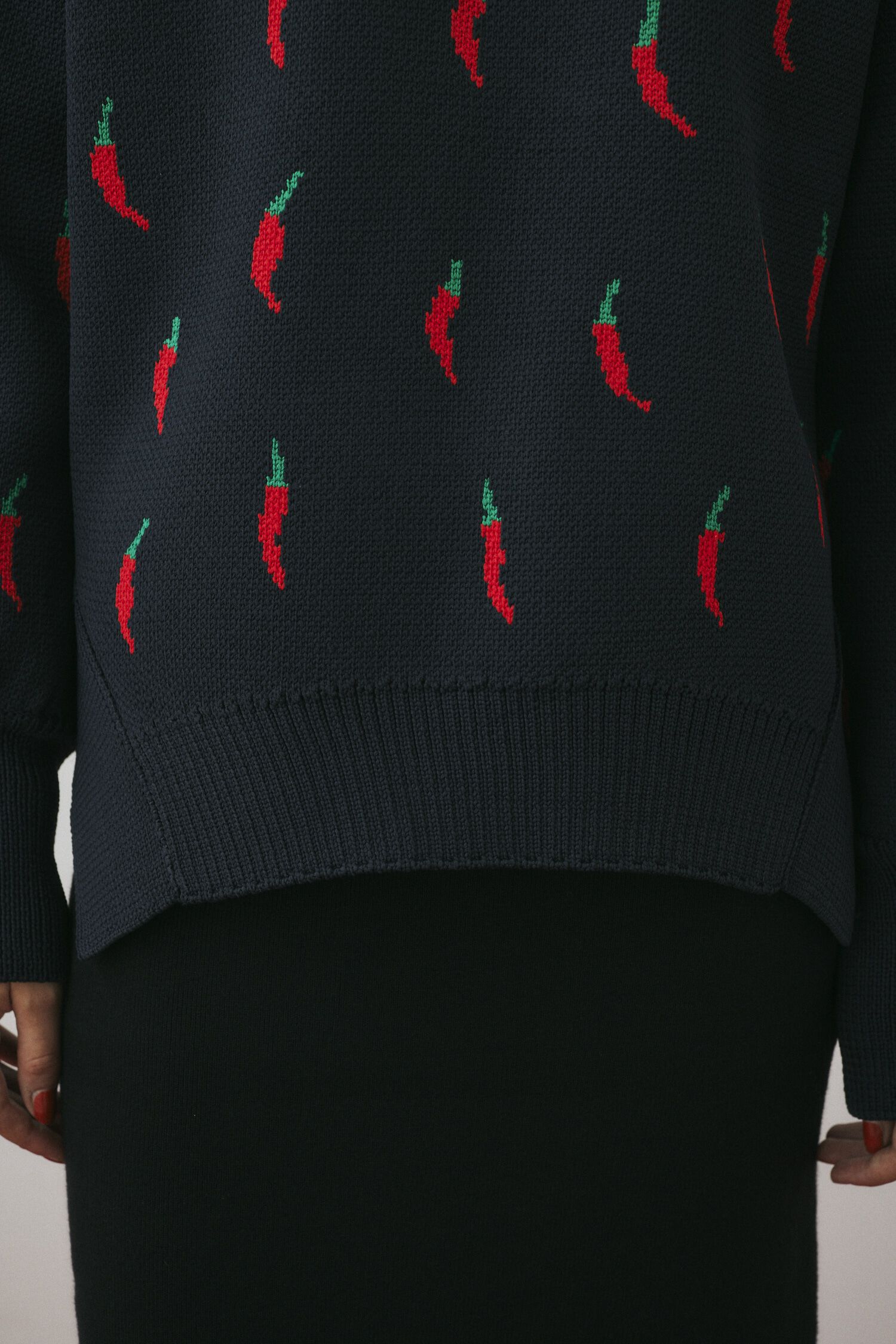 HeRIN.CYE「Chili pattern knit pullover」|ニット・セーター|