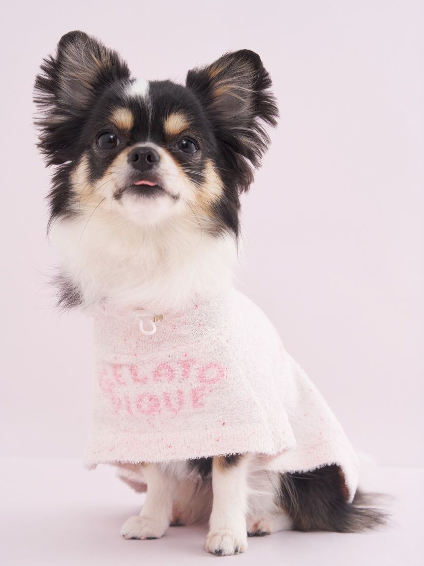  GELATO PIQUE CAT&DOG「【CAT&DOG】【Birthday】スムーズィーケープ」|その他|