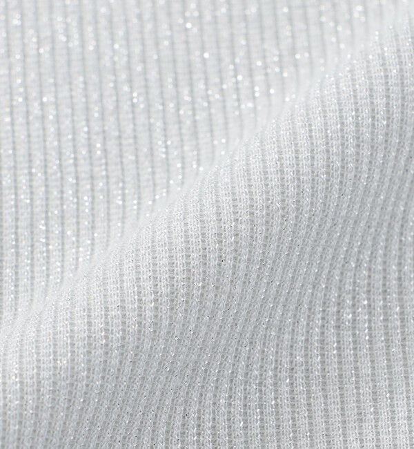  「ラメリブTシャツ」|Tシャツ・カットソー|