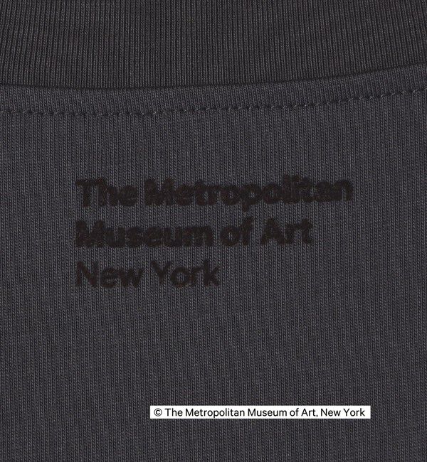 SHIPS Colors 「SHIPS Colors:THE MET コラボ フロッキー ロゴ Tシャツ」|Tシャツ・カットソー|