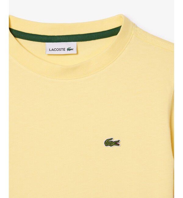 LACOSTE「JUNIORベーシックワニロゴパッチTシャツ」|Tシャツ・カットソー|