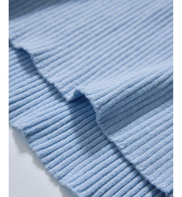 VIS「スリーブ釦アクセントリブニット/WEB限定FSサイズ・静電気防止」|ニット・セーター|