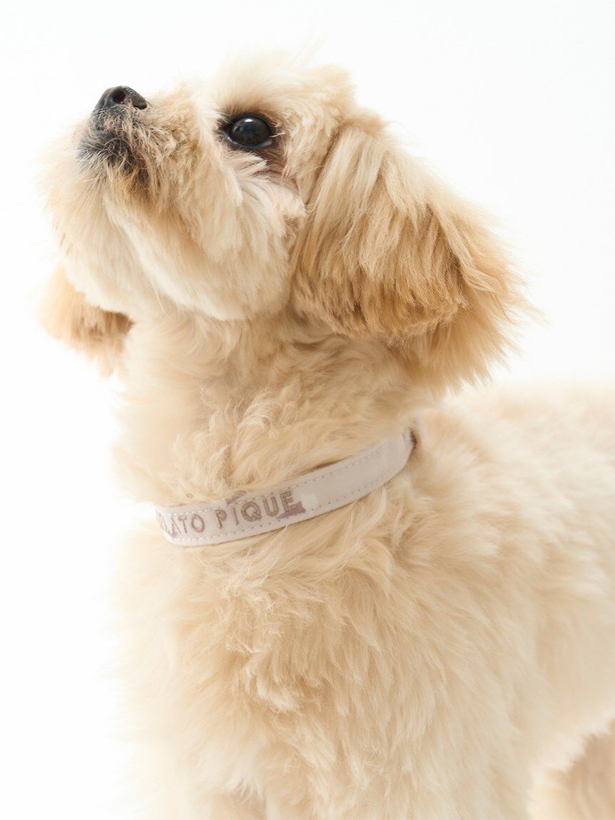  GELATO PIQUE CAT&DOG「【CAT&DOG】【販路限定商品】モチーフ柄首輪」|その他|