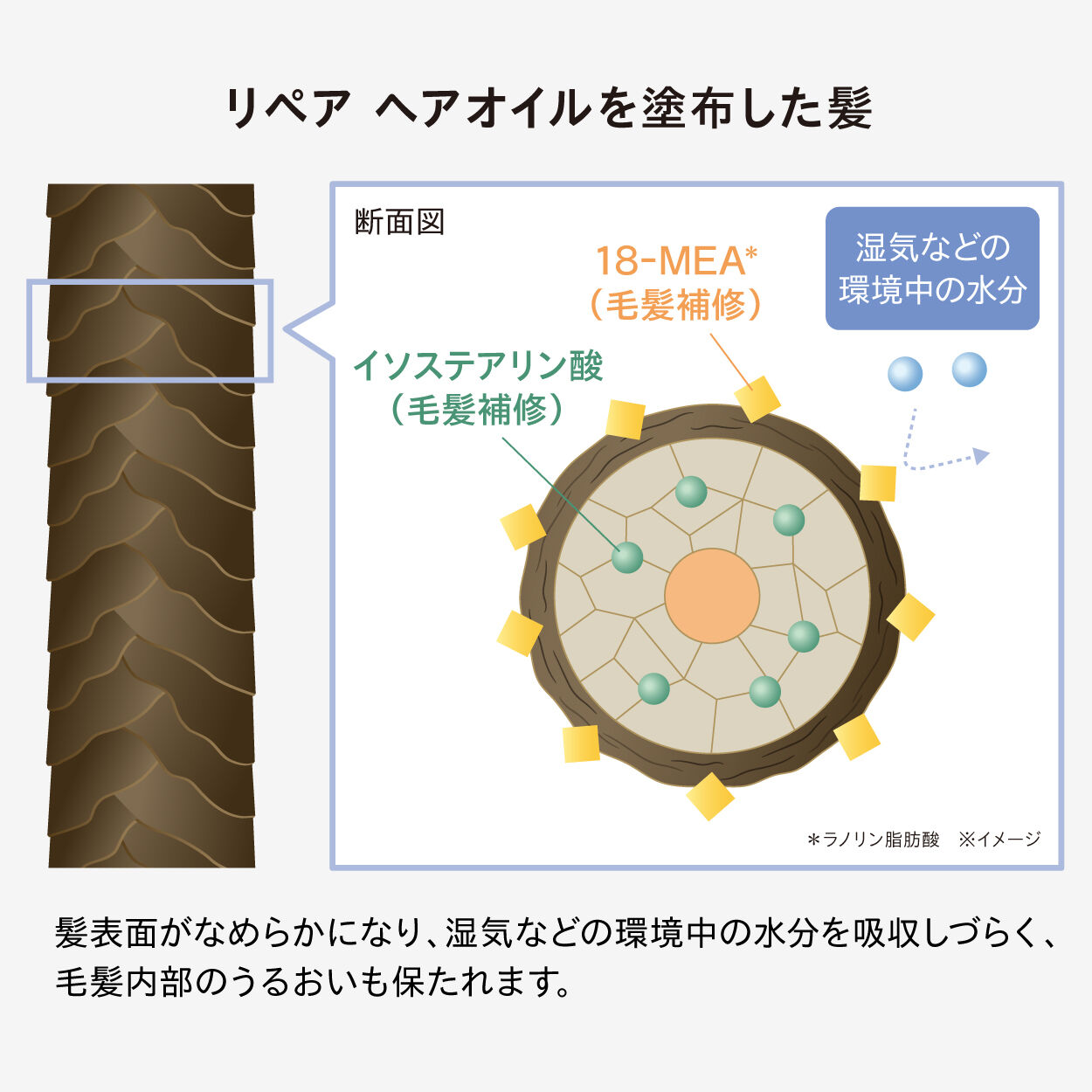 athletia「リペア ヘアオイル」|洗い流さないトリートメント|