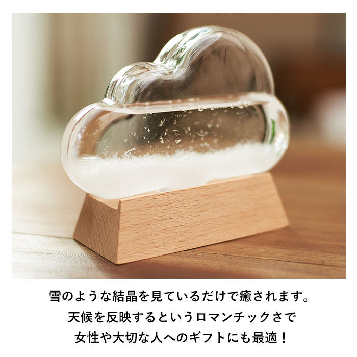 BACKYARD FAMILY「ストームグラス クラウド 通販 ガラス 雑貨 気象計 天気 おしゃれ サイエンス 科学 結晶」|その他|