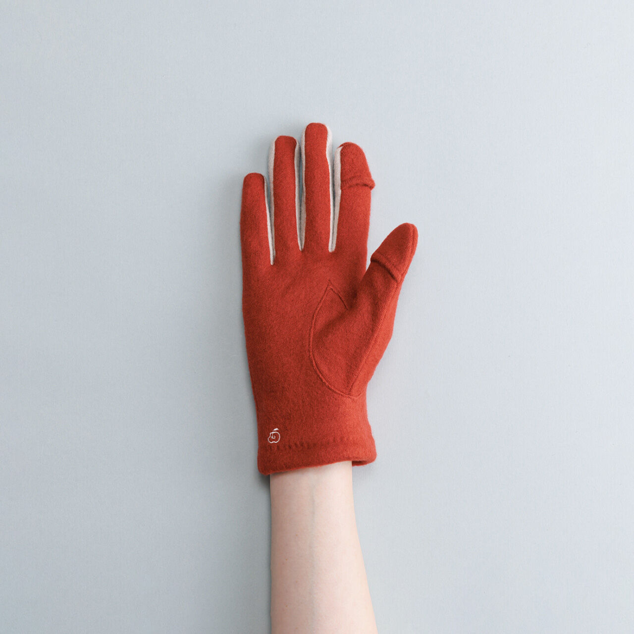 BACKYARD FAMILY「クロダ 手袋 レディース 通販 グローブ 手ぶくろ 暖かい かわいい 可愛い リンゴ 刺繍 通勤」|手袋|