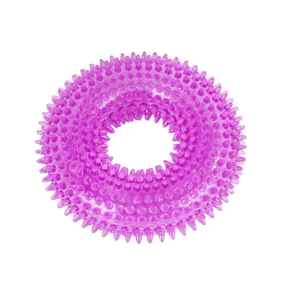 BACKYARD FAMILY「犬 噛む おもちゃ 通販 ペット用品 玩具 オモチャ ストレス解消 音が鳴る 大型犬 小型犬」|その他|パープル1