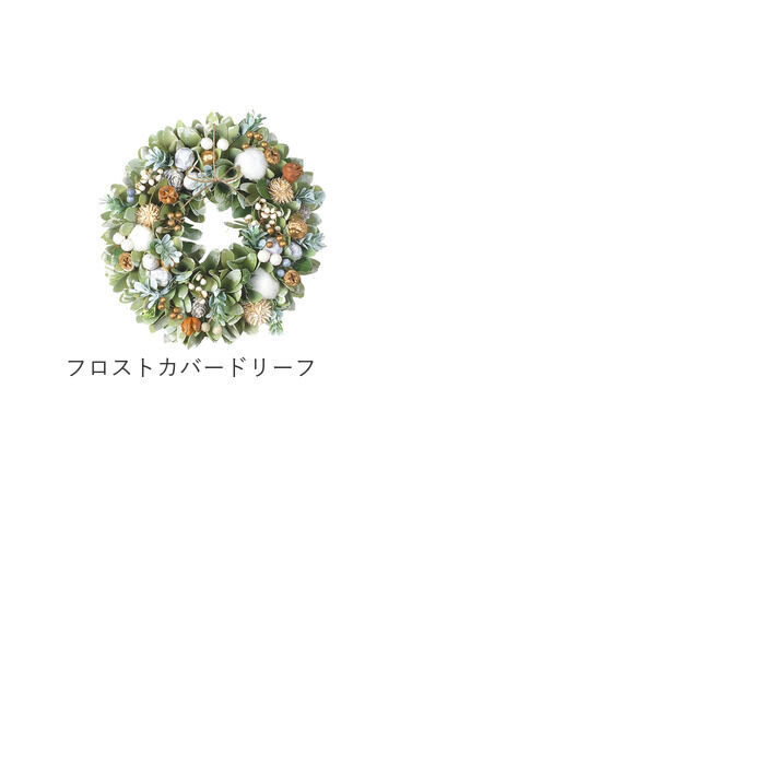 BACKYARD FAMILY「クリスマスリース 玄関 外 通販 リース ドア ナチュラルリース 玄関リース 玄関飾り 壁飾り 秋」|その他|