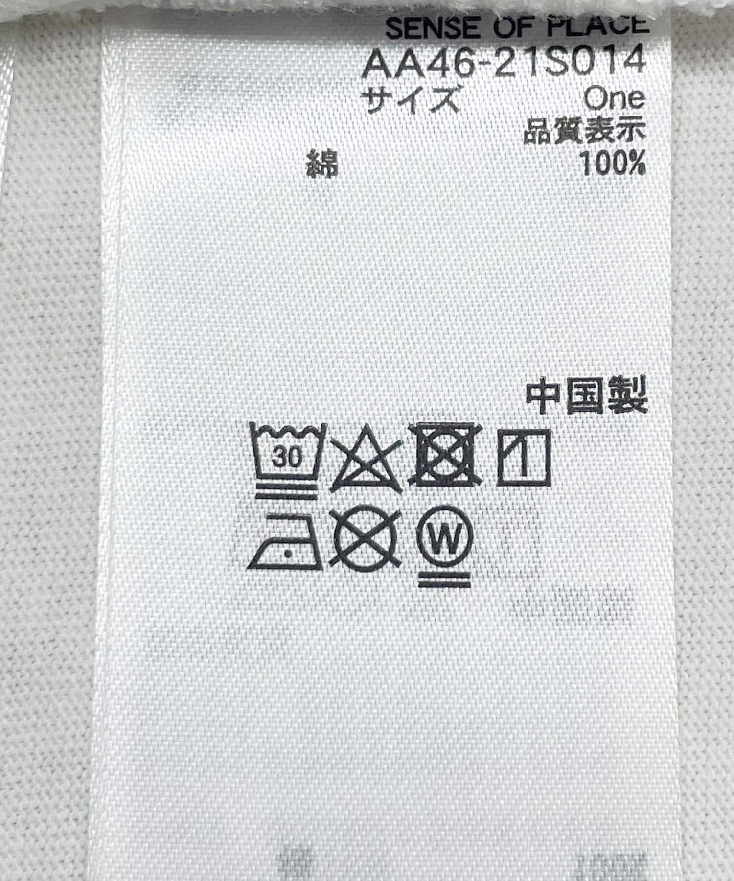 SENSE OF PLACE by URBAN RESEARCH「グラフィックロングTシャツ」|Tシャツ・カットソー|