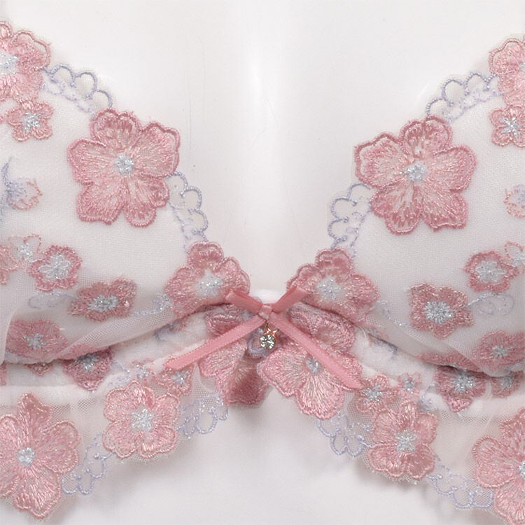 intesucre「アンテシュクレ 毎日フィットブラ  ブラセット B～Eカップ アンダー60～75cm IBT374S」|インナー|