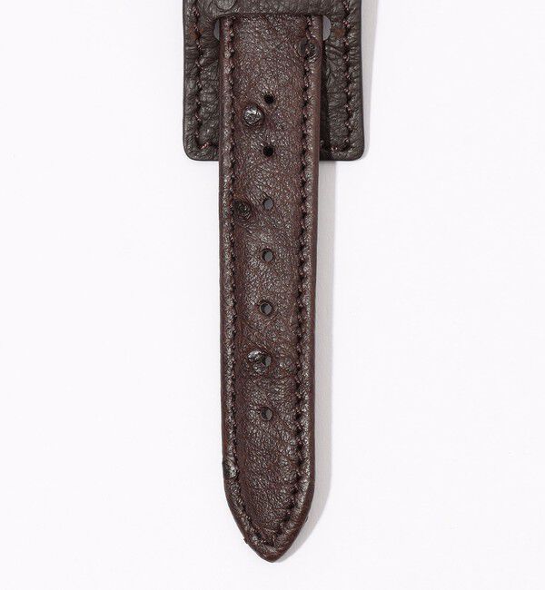 TOMORROWLAND GOODS「【別注】VAGUE WATCH Vabble Combi オーストリッチベルト オートマチックウォッチ」|腕時計|