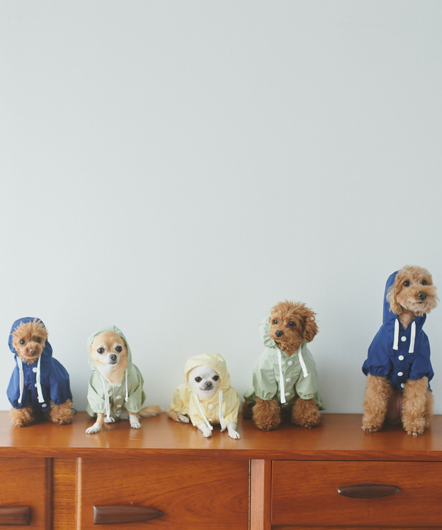 ROPE PICNIC PASSAGE「【DOG】撥水加工/マウンテンパーカー」|その他|