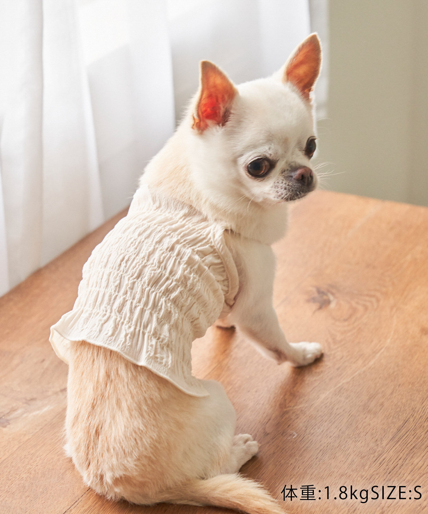 ROPE PICNIC PASSAGE「【DOG】ぽこぽこキャミワンピース」|その他|