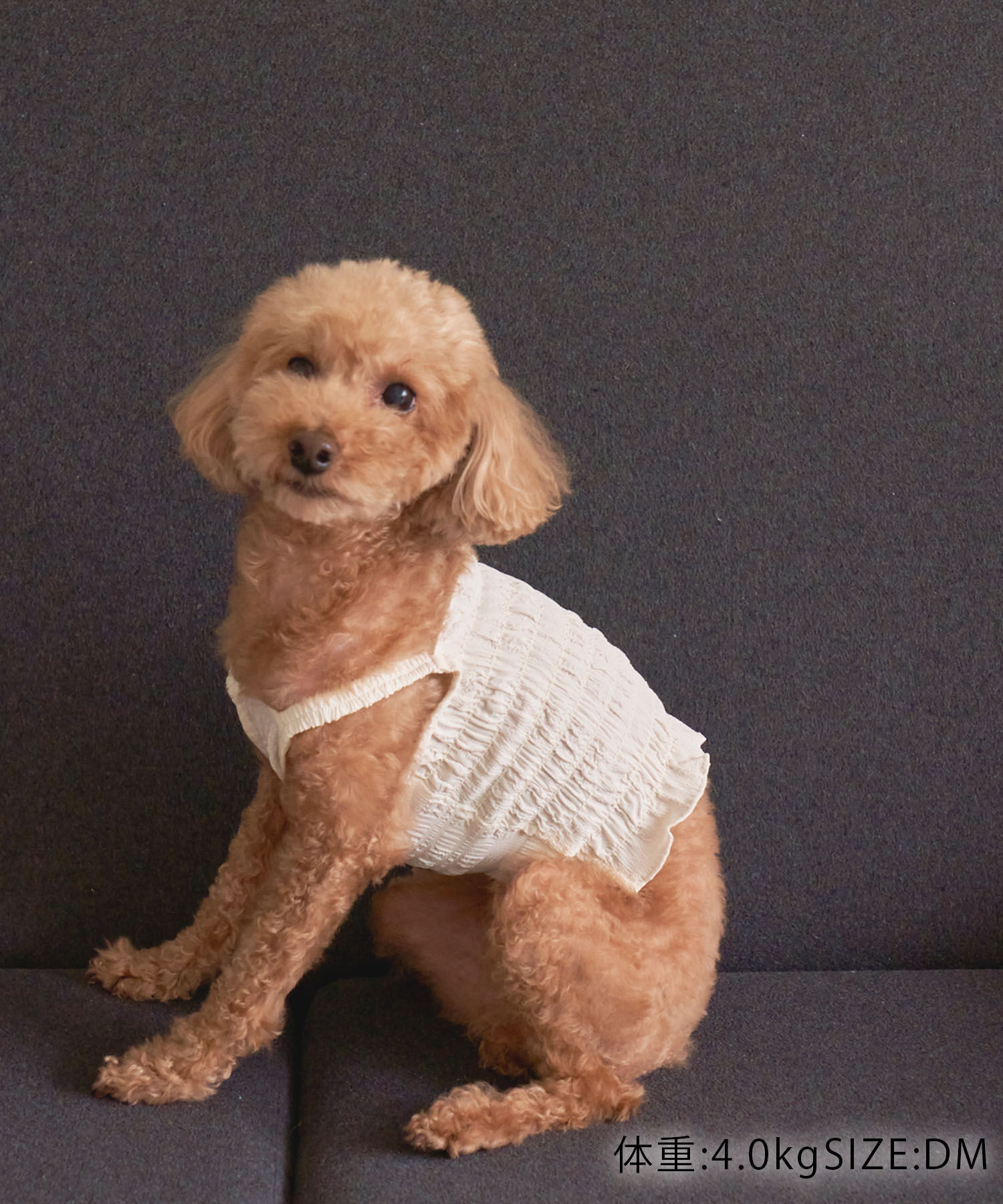 ROPE PICNIC PASSAGE「【DOG】ぽこぽこキャミワンピース」|その他|