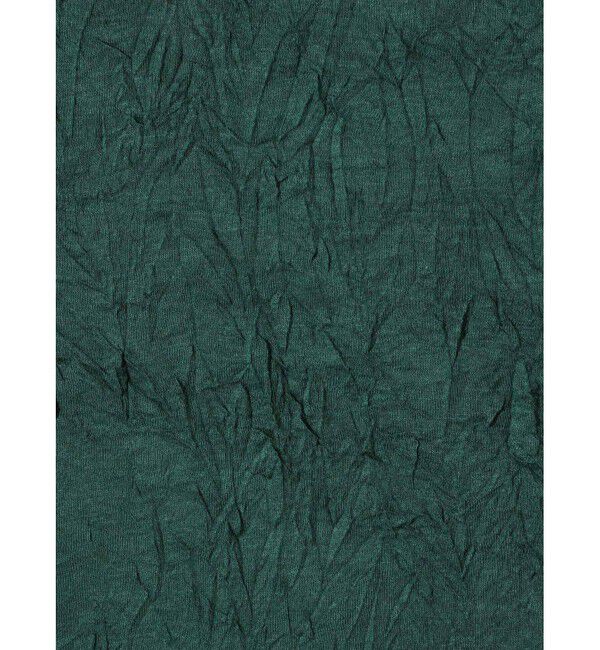 MIDIUMISOLID「MIDIUMISOLID for Ladies シアーハイネックインナー」|Tシャツ・カットソー|