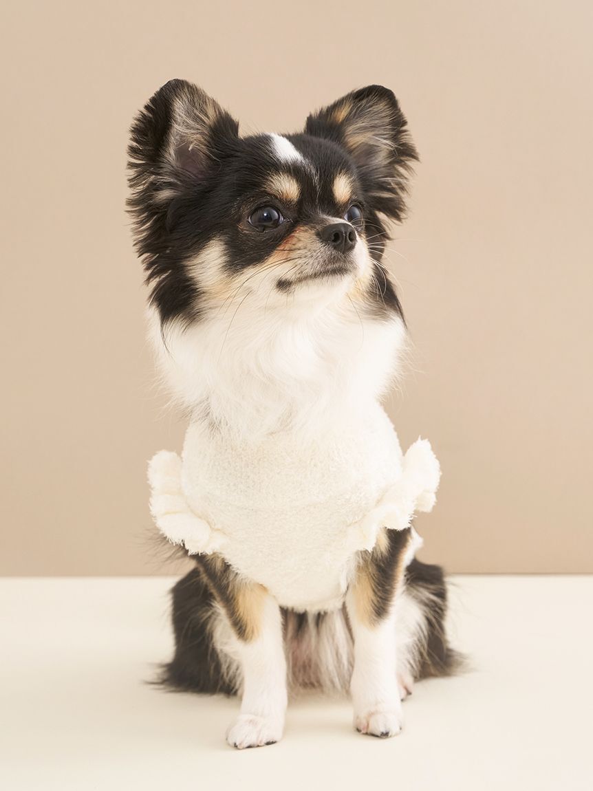  GELATO PIQUE CAT&DOG「【CAT&DOG】オータムケーキジャガードプルオーバー」|その他|