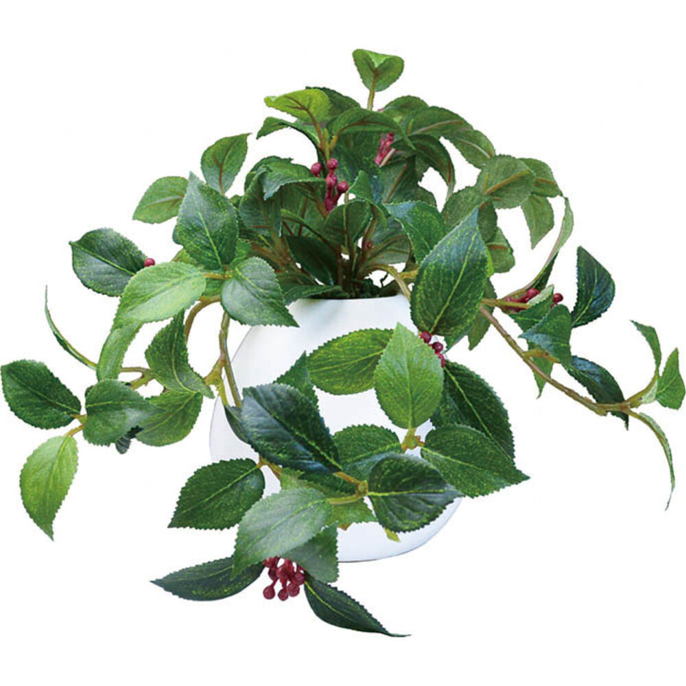 BACKYARD FAMILY「光触媒 フェイクグリーン 通販 イミテーショングリーン 人工観葉植物 インテリアグリーン 中型丸鉢」|その他|ホワイト1