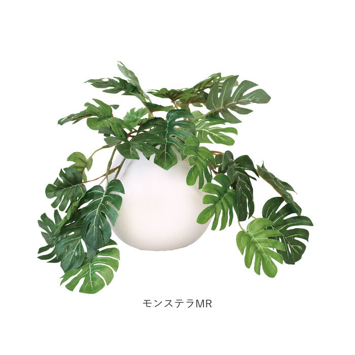 BACKYARD FAMILY「光触媒 フェイクグリーン 通販 イミテーショングリーン 人工観葉植物 インテリアグリーン 中型丸鉢」|その他|