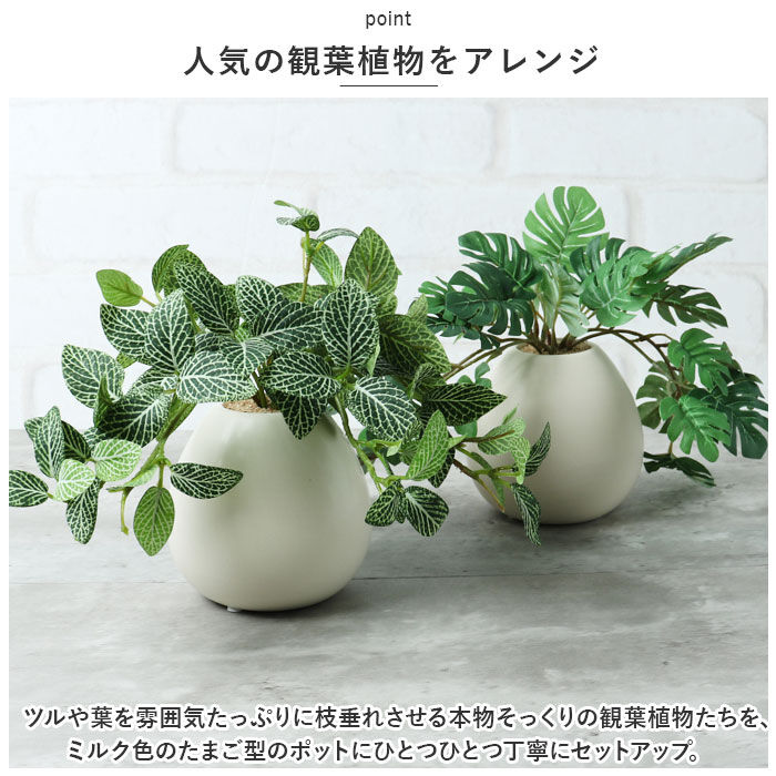 BACKYARD FAMILY「光触媒 フェイクグリーン 通販 イミテーショングリーン 人工観葉植物 インテリアグリーン 中型丸鉢」|その他|