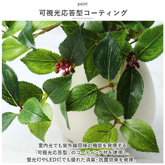 BACKYARD FAMILY「光触媒 フェイクグリーン 通販 イミテーショングリーン 人工観葉植物 インテリアグリーン 中型丸鉢」|その他|
