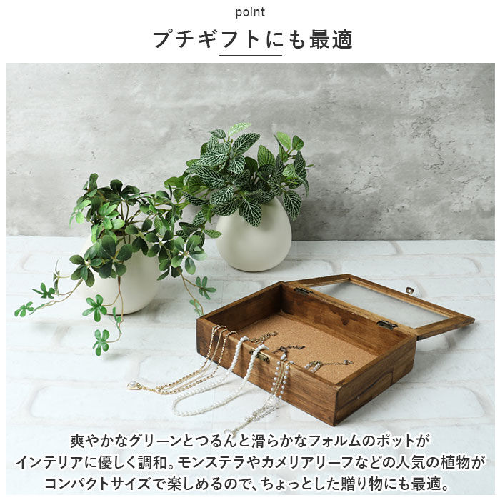 BACKYARD FAMILY「光触媒 フェイクグリーン 通販 イミテーショングリーン 人工観葉植物 インテリアグリーン 中型丸鉢」|その他|