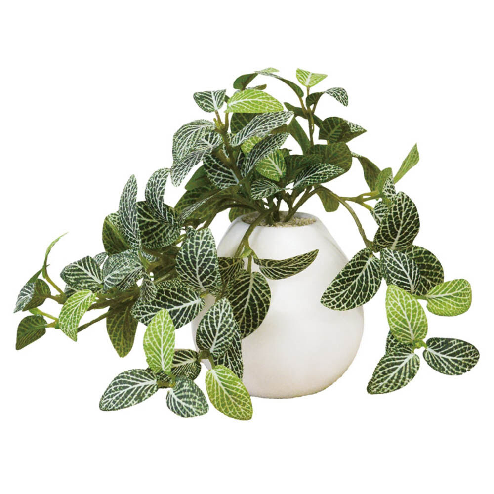 BACKYARD FAMILY「光触媒 フェイクグリーン 通販 イミテーショングリーン 人工観葉植物 インテリアグリーン 中型丸鉢」|その他|ホワイト2