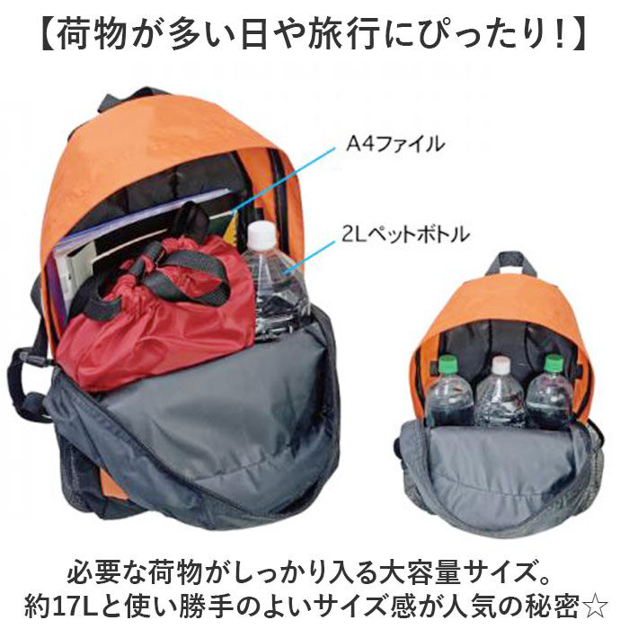 BACKYARD FAMILY「CLIMBING クライミング デイパック 8287 通販 リュックサック リュック 防災リュック」|リュック|