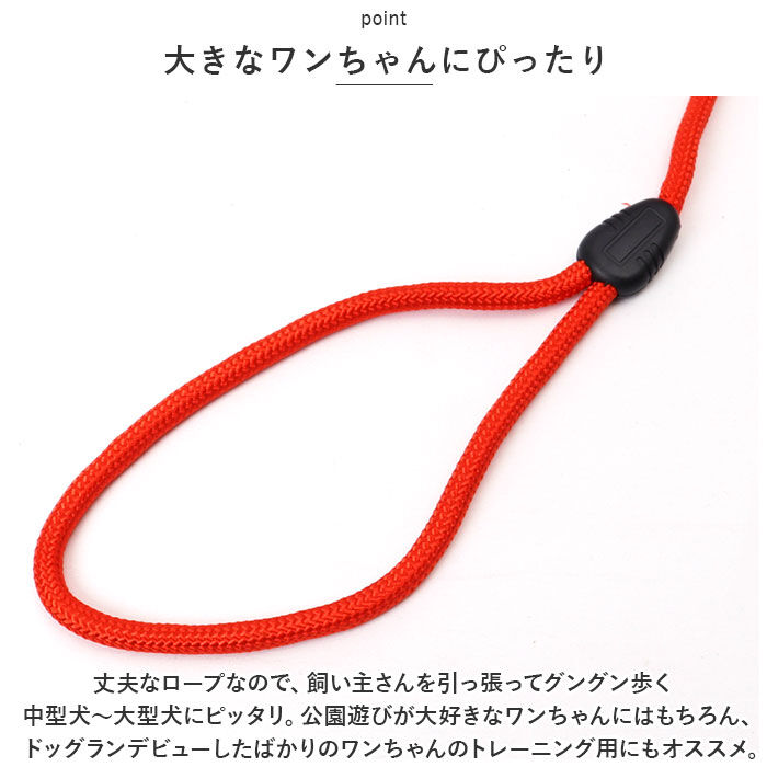 BACKYARD FAMILY「犬 リード おしゃれ 10m 通販 ドックリード 丸ロープ 丸形 犬用リード 中型犬 小型犬」|その他|