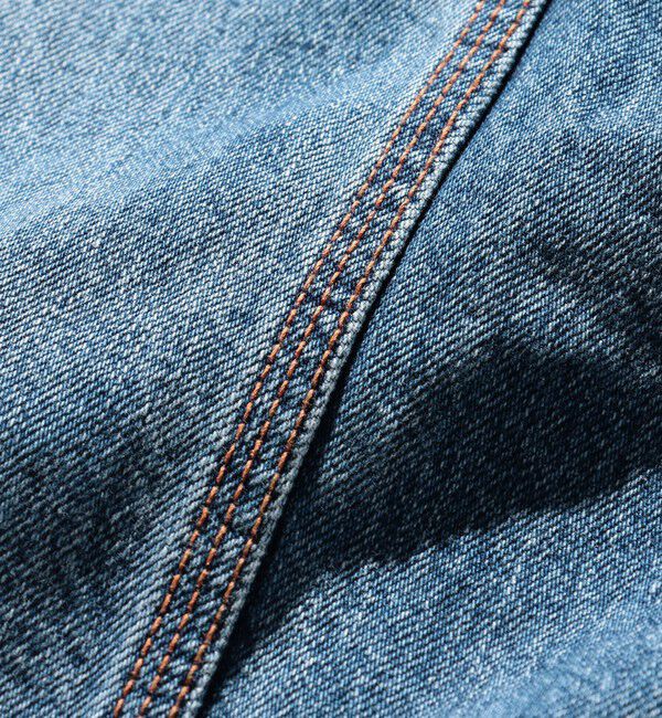 BEAMS PLUS「BEAMS PLUS / デニム ペインターパンツ」|その他|