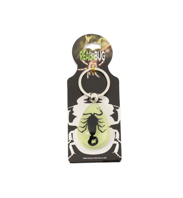 BEAMS「R/B_DROP_K/CHAIN」|その他|