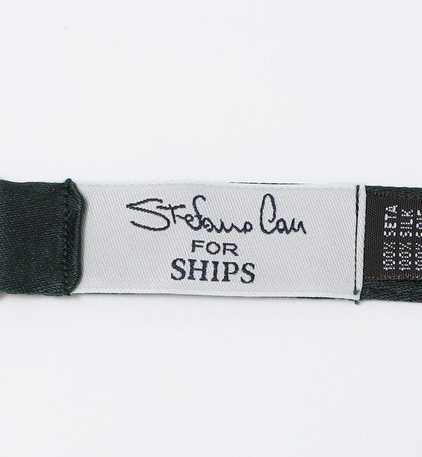 SHIPS「【SHIPS別注】Stefano Cau: シルク サテン ソリッド ボウタイ」|ネクタイ・蝶ネクタイ|