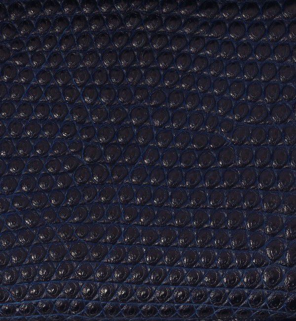 TOMORROWLAND GOODS「【別注】BROOKLYN MUSEUM リザード ミニスナップウォレット」|財布|