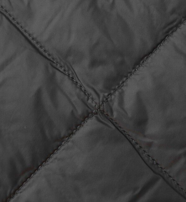 NOLLEY'S goodman「【TAION/タイオン】W-BREASTED SNAP BUTTON DOWN GILET 25AW」|ダウンベスト・ベスト|