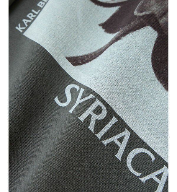 SALON adam et rope'「【KARL BLOSSFELDT  by SALON】フォトロングスリーブTシャツ」|Tシャツ・カットソー|