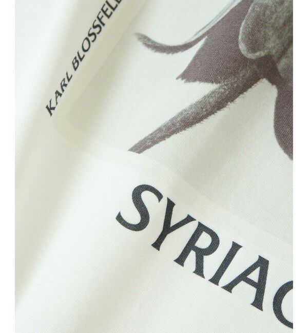 SALON adam et rope'「【KARL BLOSSFELDT  by SALON】フォトロングスリーブTシャツ」|Tシャツ・カットソー|