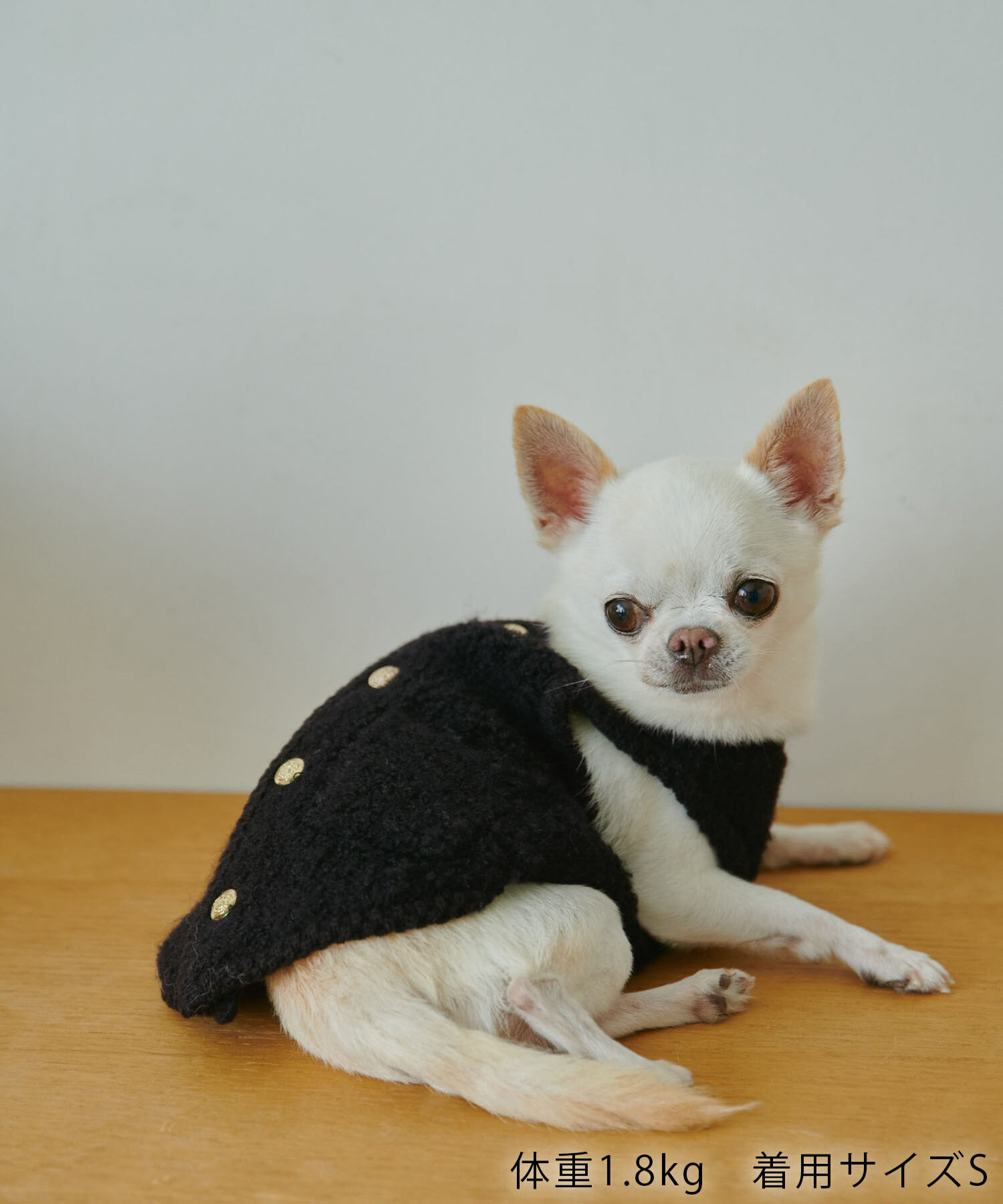 ROPE PICNIC PASSAGE「【DOG】ループ編みゴールドボタンニットベスト/リンクコーデ」|その他|